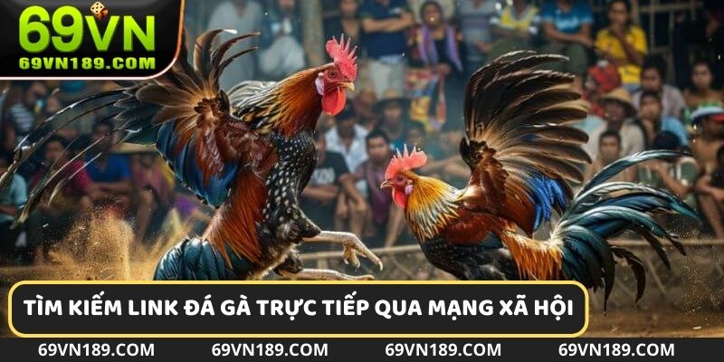 Thành viên có thể tìm kiếm link đá gà qua mạng xã hội