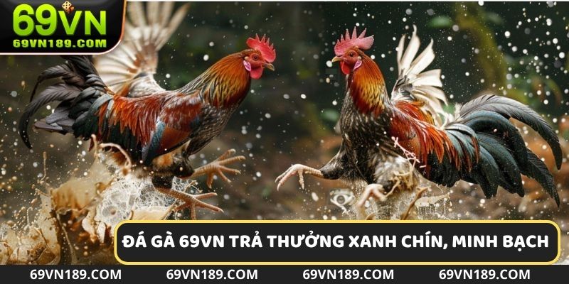 Hệ thống trả thưởng xanh chín, minh bạch