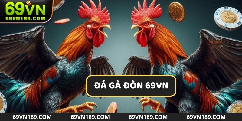 Đá gà đòn đã chinh phục hàng triệu bet thủ từ khắp mọi miền